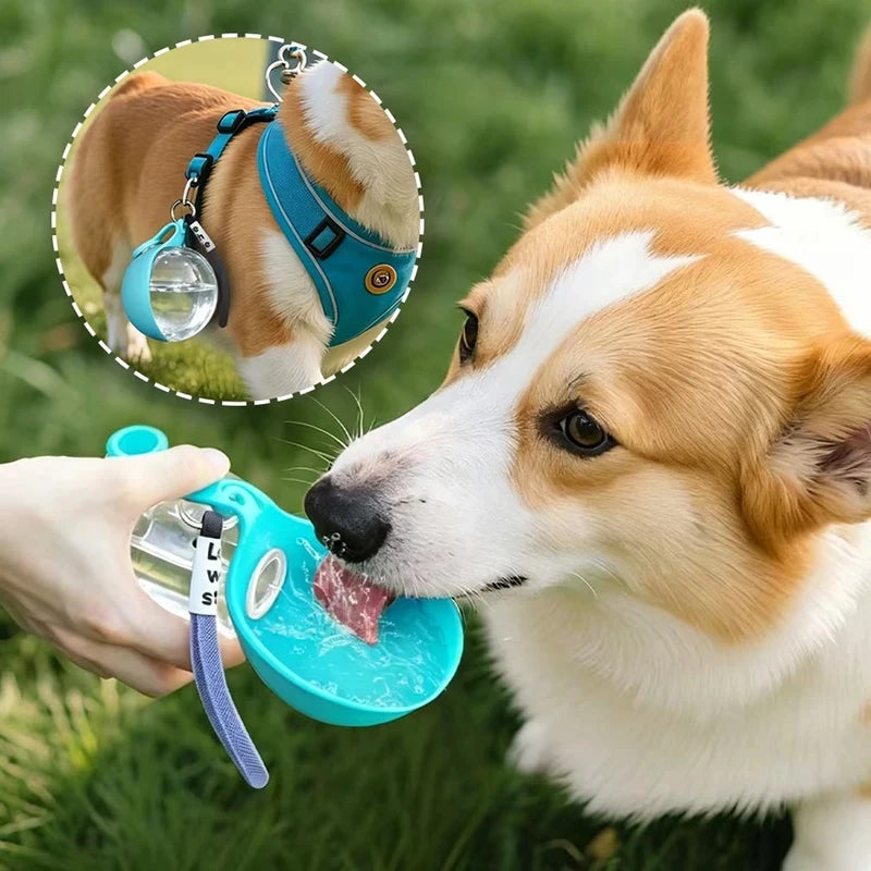 Portable 2-in-1 water bottle for dogs with built-in collapsible bowl, ideal for outdoor walks, hiking, travel, compact hydration